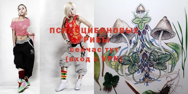 герыч Алзамай