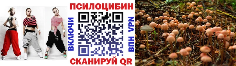 площадка какой сайт  Кизел  Псилоцибиновые грибы мицелий 