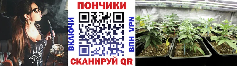 купить закладку  kraken tor  Шишки марихуана сатива  Кизел 